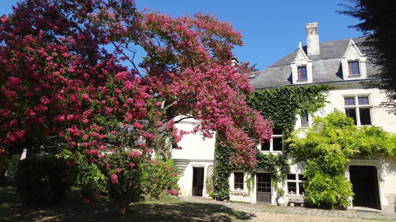 Le Manoir De La Baldette Bed & Breakfast Gennes-Val-de-Loire Exterior photo