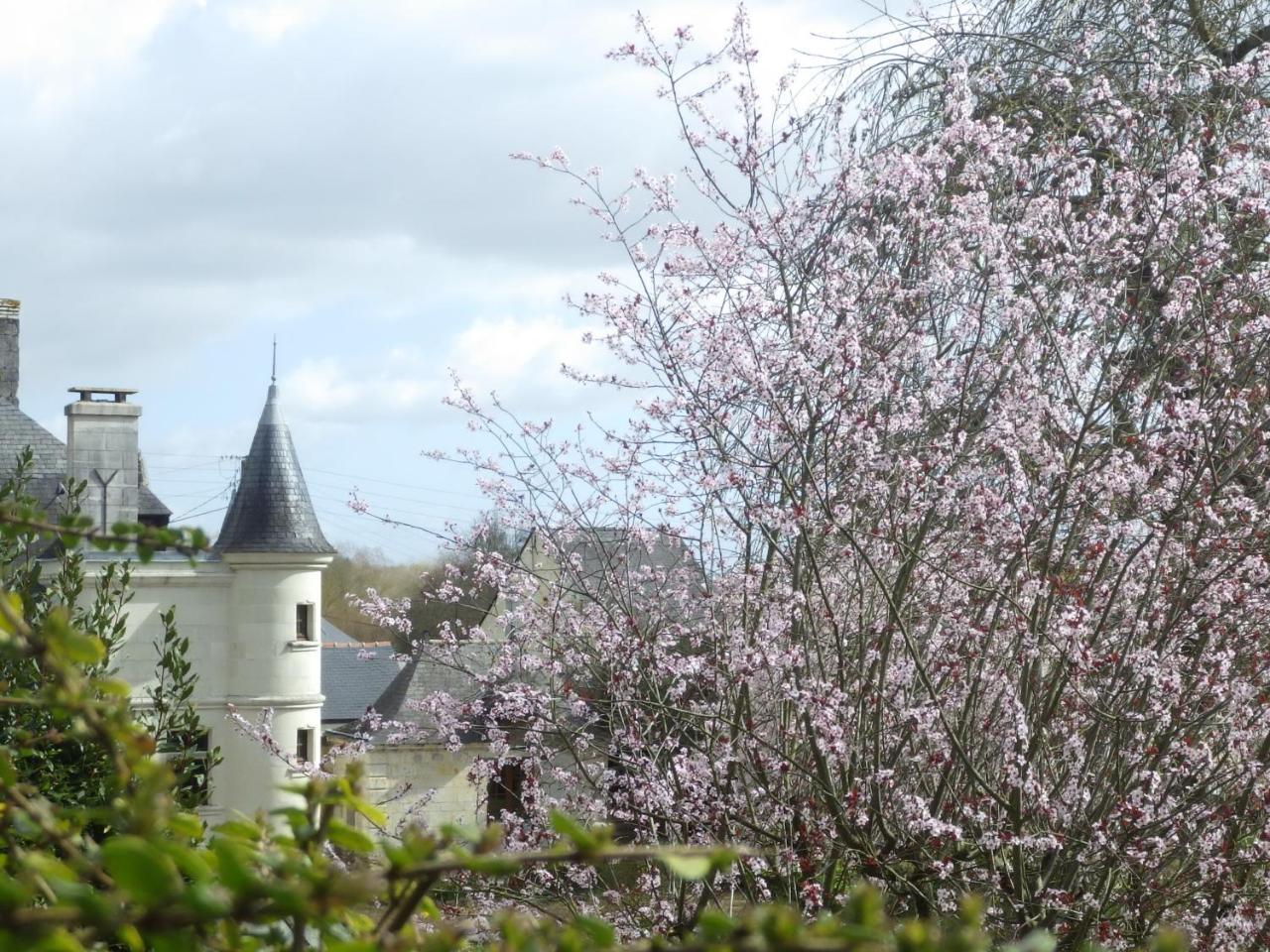 Le Manoir De La Baldette Bed & Breakfast Gennes-Val-de-Loire Exterior photo