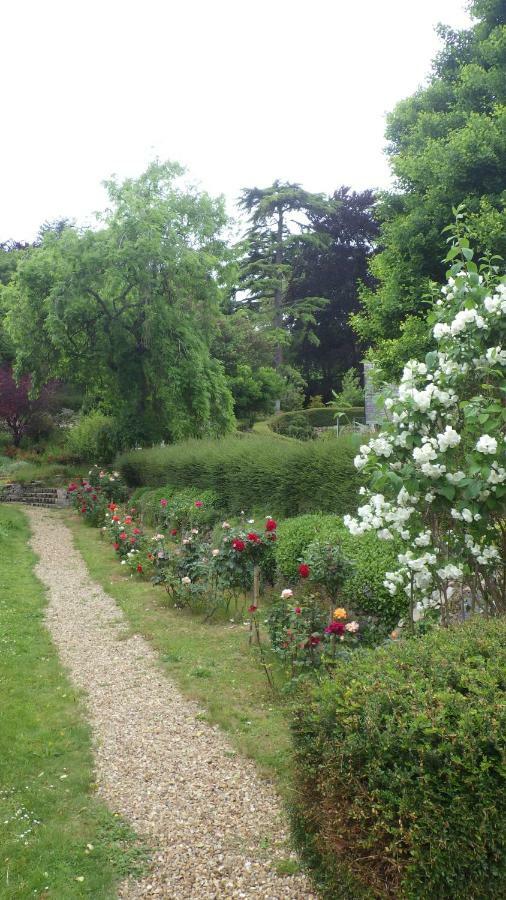 Le Manoir De La Baldette Bed & Breakfast Gennes-Val-de-Loire Exterior photo