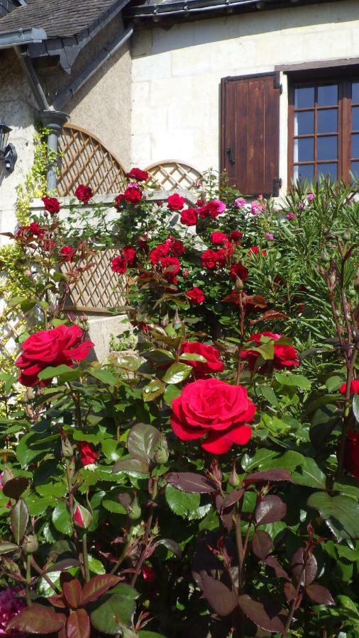 Le Manoir De La Baldette Bed & Breakfast Gennes-Val-de-Loire Exterior photo