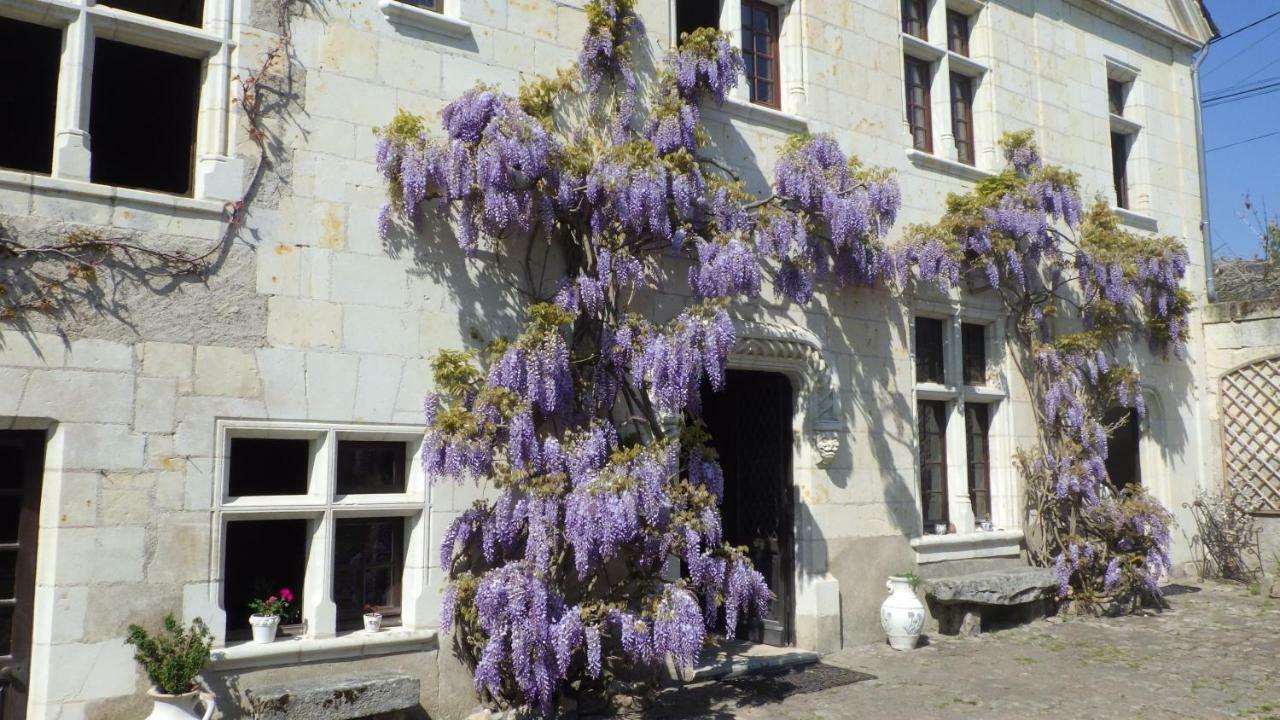 Le Manoir De La Baldette Bed & Breakfast Gennes-Val-de-Loire Exterior photo